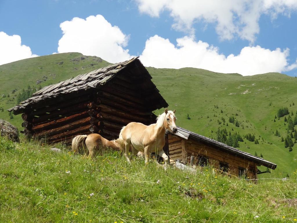 Gaestehaus Zwischenberger Obervellach Exteriör bild
