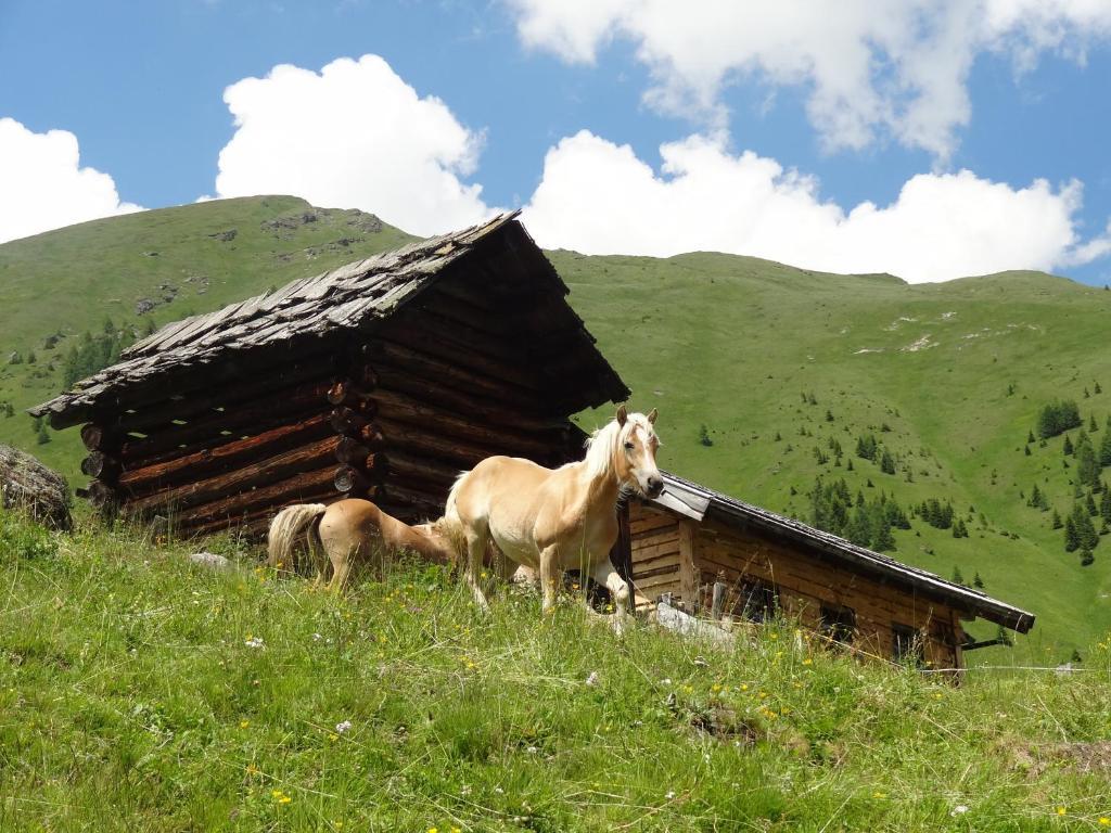 Gastehaus Zwischenberger Lägenhet Obervellach Exteriör bild